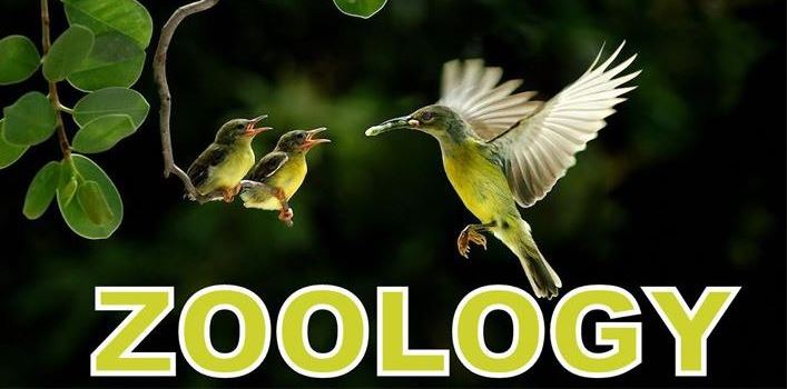 ZOOLOGY