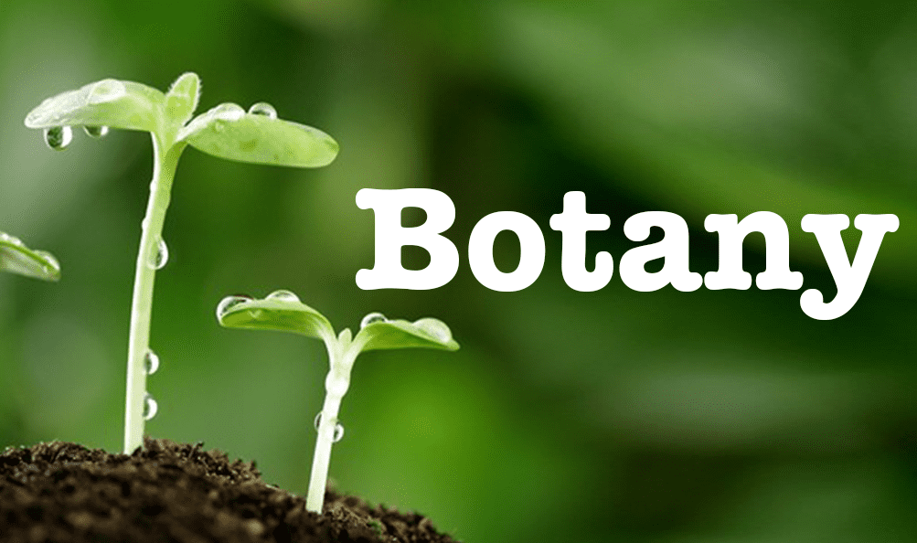 BOTANY